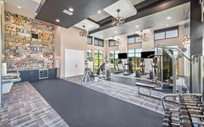 Georgetown apartment for rent - a gym with weights and cardio equipment at the enclave at woodbridge apartments