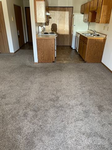 Fargo apartment for rent - a carpeted kitchen and living room with a carpet floor