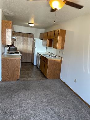 Fargo apartment for rent - a kitchen with wooden cabinets and a sink and a refrigerator