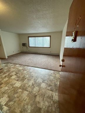 Fargo apartment for rent - an empty living room with a door and a window