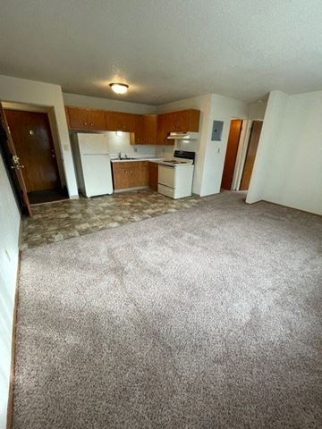 Fargo apartment for rent - an empty room with a kitchen and a carpet floor