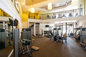 Orlando apartment for rent - A gym with a variety of equipment including treadmills, weights, and exercise machines.