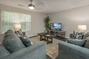 Columbus apartment for rent - A living room with a grey couch, a wooden coffee table, and a flat screen TV.