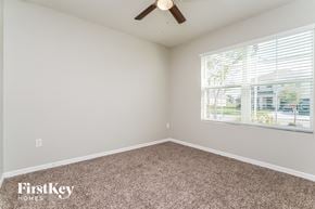 Wesley Chapel house for rent - the master bedroom has carpeted floors and a large window