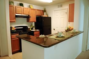 Tampa apartment for rent - Kitchen