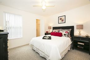 Tampa apartment for rent -  Bedroom