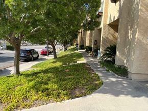 San Diego apartment for rent - A tree in a grassy area next to a sidewalk.