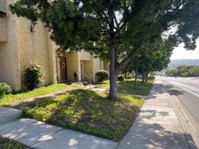 San Diego apartment for rent - A tree in front of a building with a sidewalk in front of it.