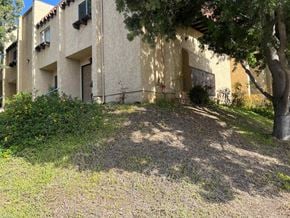 San Diego apartment for rent - A building with a tree in front of it.