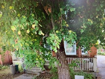 Ottawa house for rent - 415 Lisgar