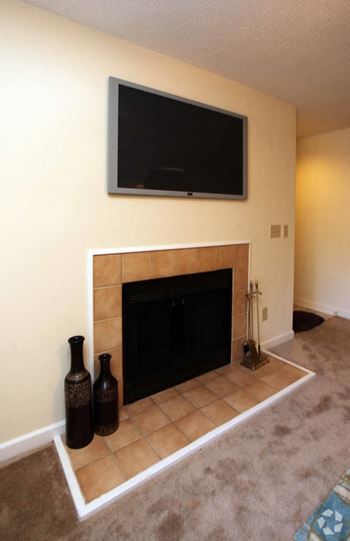 Living room fireplace