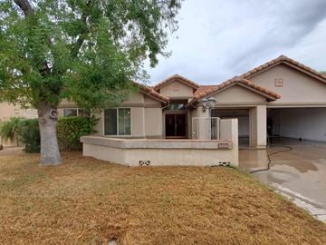 Chandler house for rent - a house with a patio and a tree in front of it