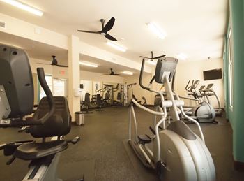 State-of-the-art workout room