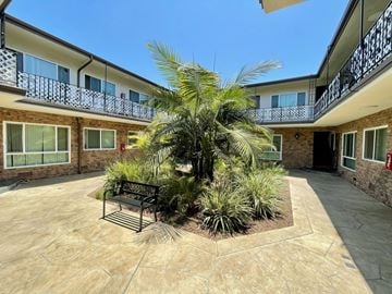 Costa Mesa apartment for rent - A courtyard with a bench and a palm tree.
