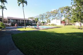 Mililani apartment for rent - A swimming pool is surrounded by a grassy area and palm trees.