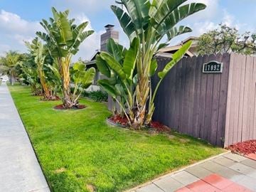 Huntington Beach apartment for rent - A house numbered 17092 is visible in the background of a well-kept garden.