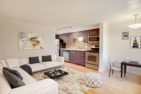 Denver apartment for rent - Clarkson Commons Apartments in Denver, Colorado