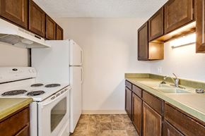 Lakewood apartment for rent - a kitchen with a stove refrigerator and sink