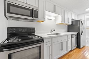Denver apartment for rent - Ten Ten Clarkson Apartments in Denver, CO