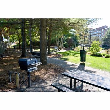 Bbq/picnic area