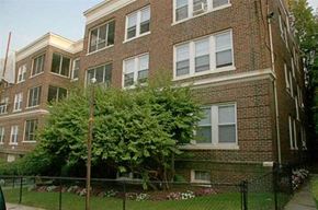 Brighton apartment for rent - a brick building with a tree in front of it