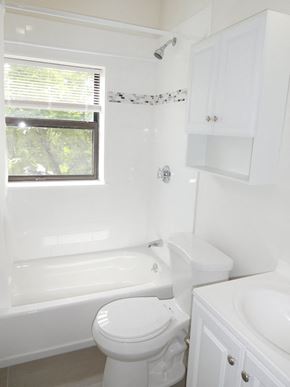 Allston apartment for rent - Renovated Bathroom with Tub