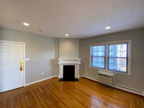 Worcester apartment for rent - Living room with hardwood floors and non working fireplace