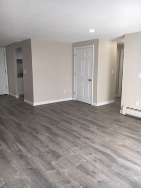 Johnston apartment for rent - a living room with wooden floors and a white door