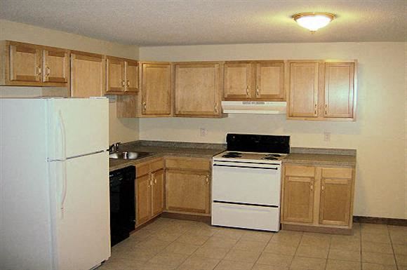 Worcester apartment for rent - a kitchen with a stove and a refrigerator