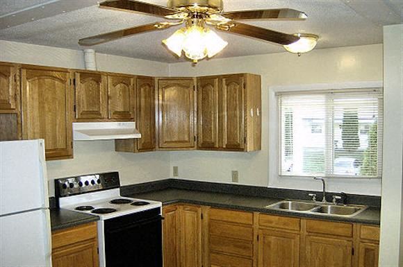Charlton apartment for rent - a kitchen with a stove and a ceiling fan