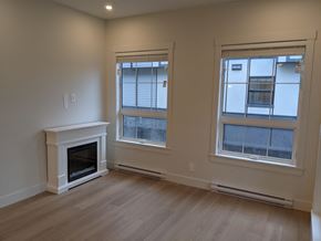 Delta apartment for rent - a living room with a fireplace and two windows