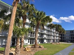 Kissimmee apartment for rent - a row of palm trees in front of an apartment building