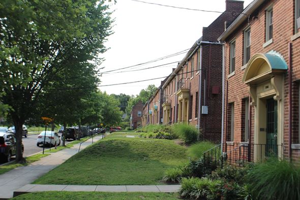 Washington apartment for rent - A row of red brick houses with green lawns in front.