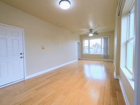Chicago apartment for rent - an empty living room with wood floors and a ceiling fan