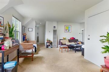 Santa Cruz apartment for rent - A living room with a couch, a chair, a table, and a potted plant.