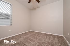 Valrico house for rent - the spacious bedroom with carpeted flooring and a ceiling fan