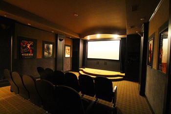 Movie theater and dvd library