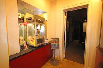 Movie theater and dvd library