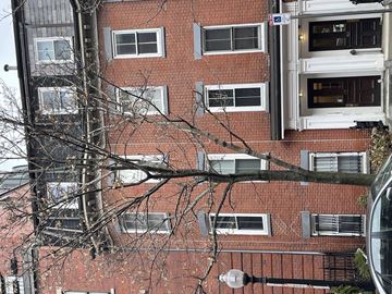Boston apartment for rent - A tree in front of a red brick building.