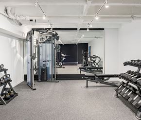 Chicago apartment for rent - A gym with a variety of equipment including a squat rack, bench press, and a rowing machine.