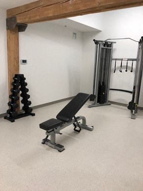 Winnipeg apartment for rent - A gym with a bench, weights, and a squat rack.