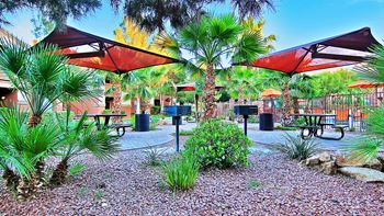 Courtyard picnic area