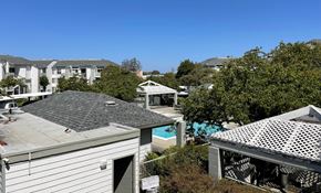 El Cerrito apartment for rent - A residential area with houses and a pool.