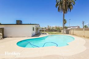 Phoenix house for rent - A swimming pool with a palm tree in the background.