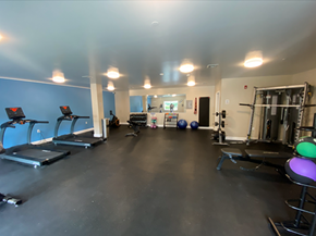 Piermont apartment for rent - A gym with treadmills, weights and exercise balls.