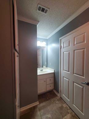 Hattiesburg apartment for rent - a bathroom with a white sink and a white door