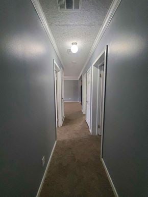 Hattiesburg apartment for rent - a hallway with a carpeted floor and grey walls and doors