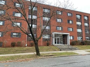 Holyoke apartment for rent - a red brick building with a tree in front of it