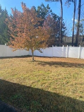 Rome apartment for rent - A tree with orange leaves stands in a yard.