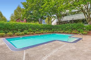 Portland apartment for rent - A rectangular pool surrounded by a concrete floor and a hedge.